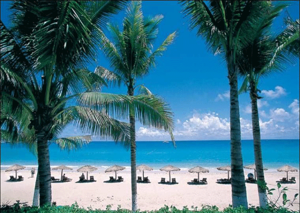 ������ɳ̲