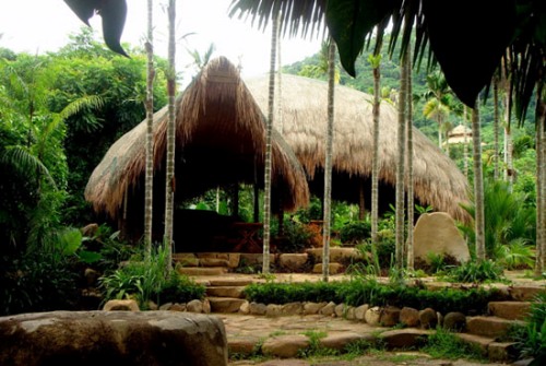 ѽŵ������