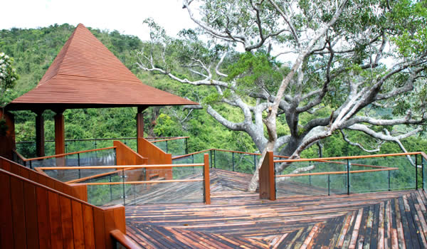 �������ȴ�ɭ�ֹ�԰ͼƬ