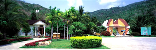 �����������ͼƬ