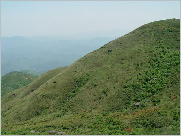 ������ɽ��