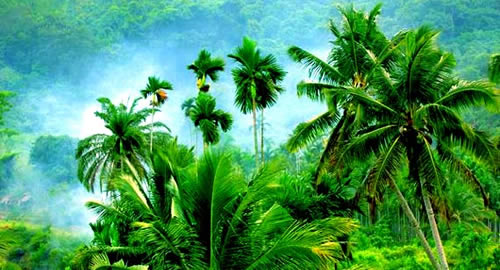 ��¡�ȴ�ֲ��԰