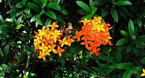 ��¡�ȴ�ֲ��԰